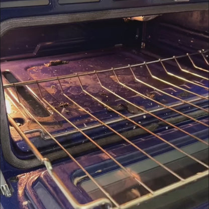 VaporixPro - Limpiador desinfectante a vapor 10 en 1